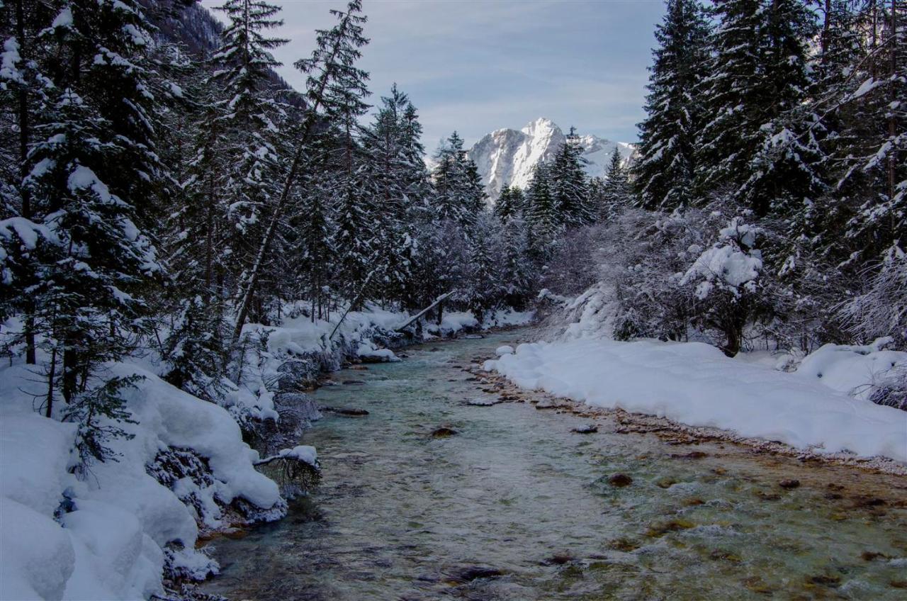 Apartment Jakelj Kranjska Gora Bagian luar foto