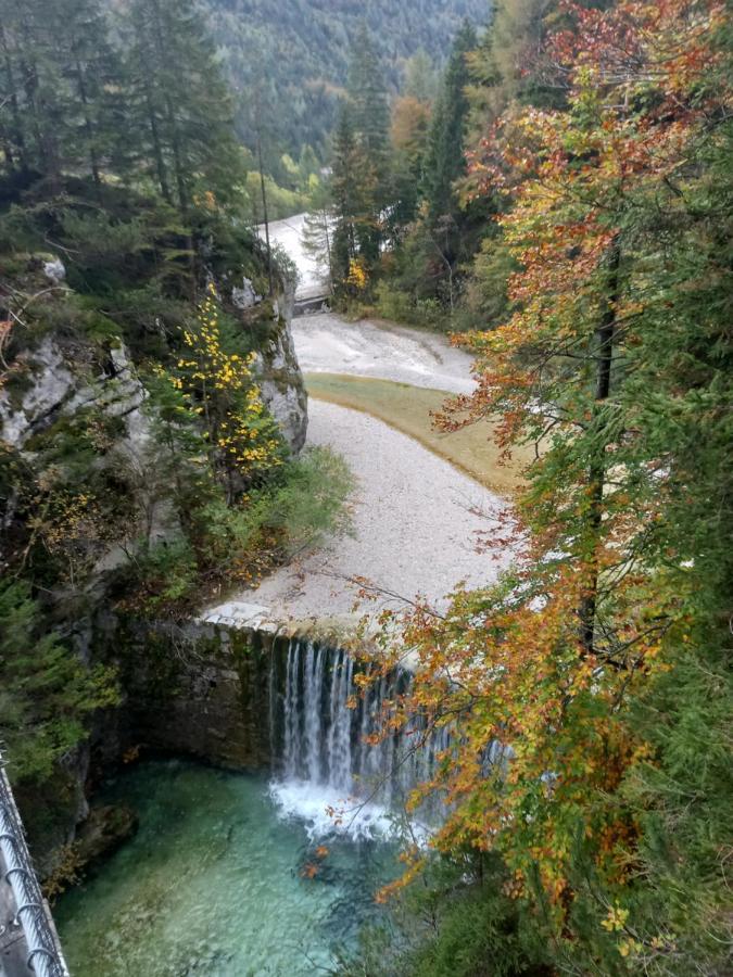 Apartment Jakelj Kranjska Gora Bagian luar foto